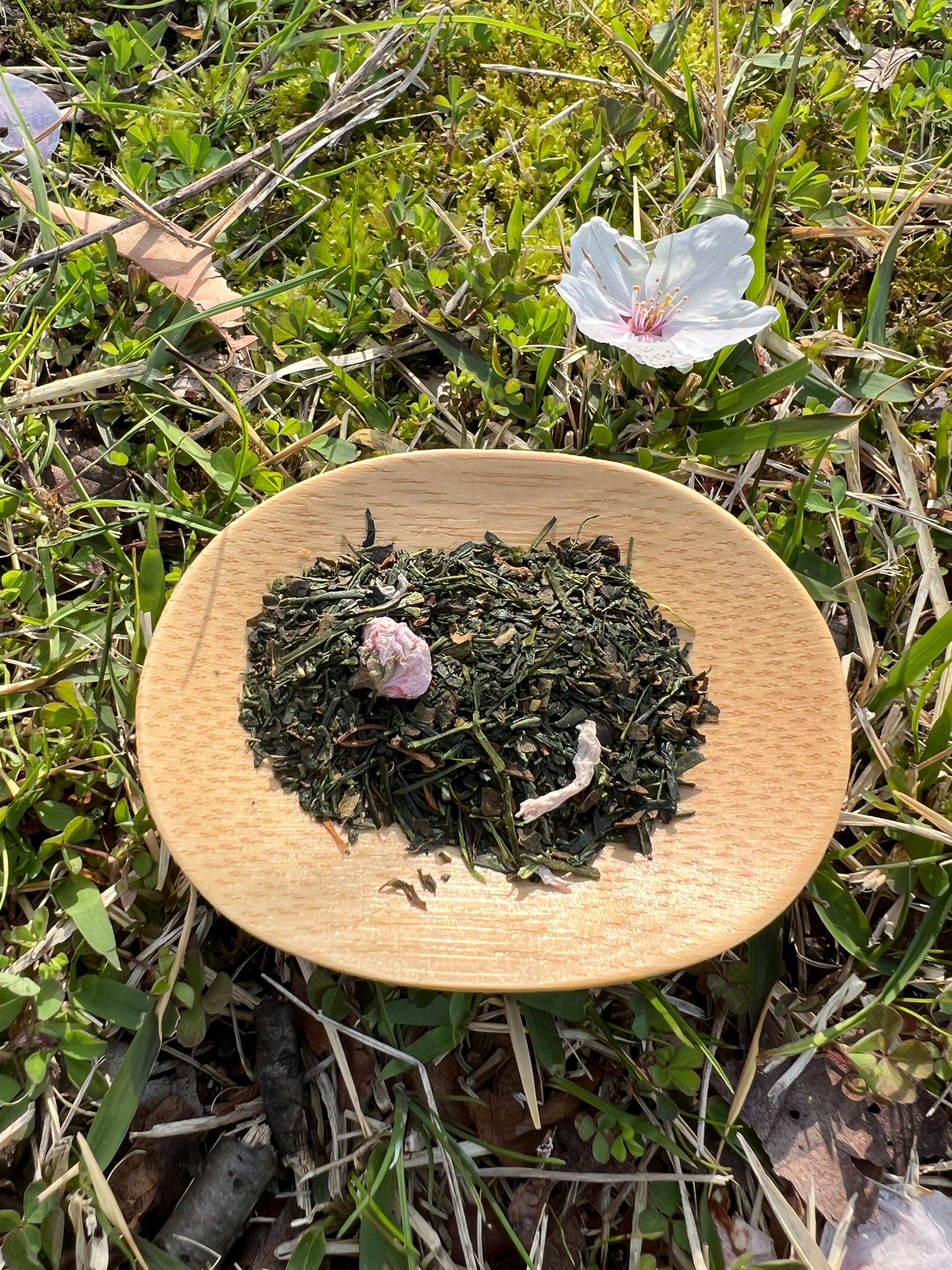Sakura Sencha