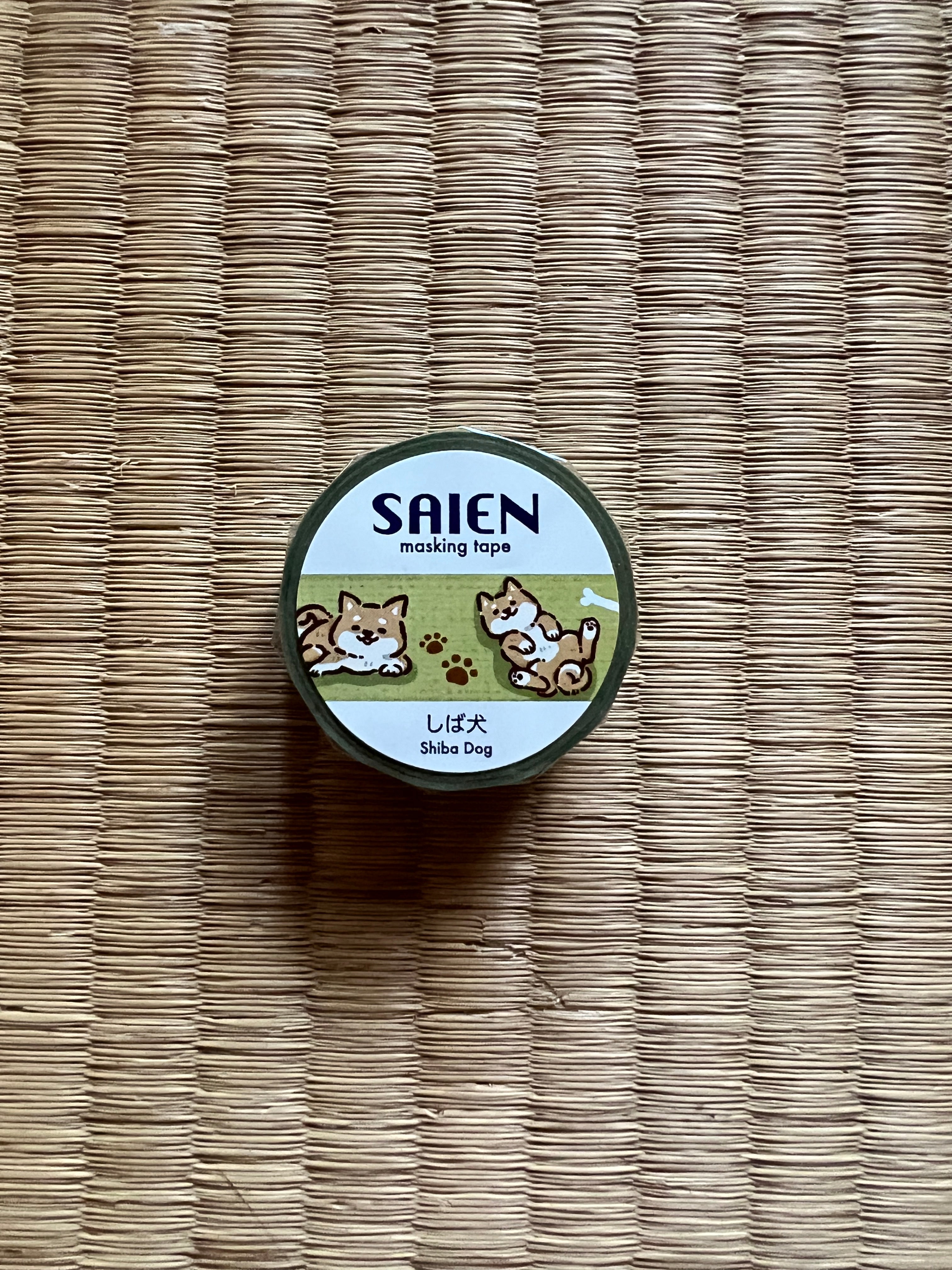 Shiba Dog